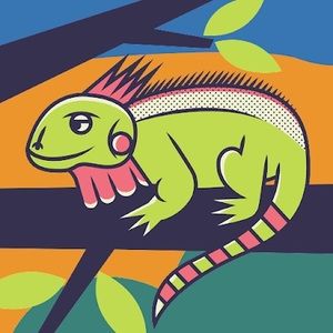 Meet your Posher, Tuananh